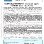 NotiziarioANMIC_75 cover